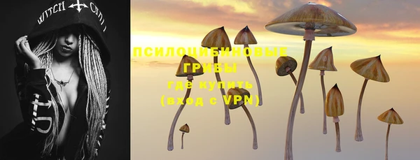 крисы Покров