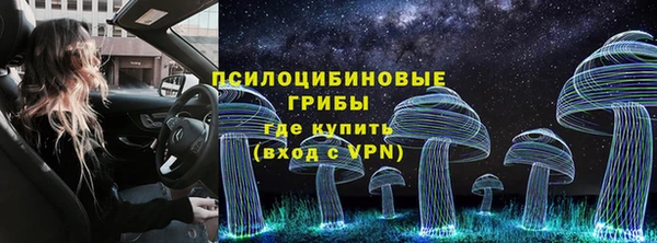 крисы Покров