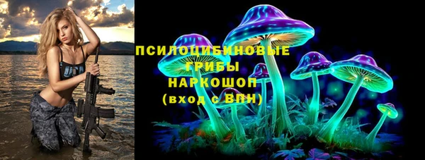 дурь Покачи