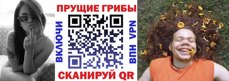 Галлюциногенные грибы ЛСД  хочу   Сорочинск 