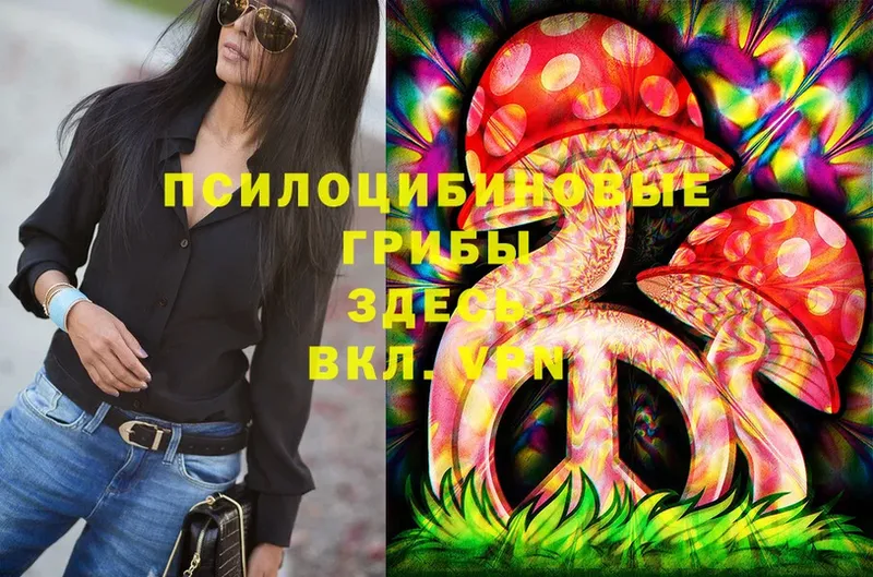 Псилоцибиновые грибы Psilocybe  Сорочинск 