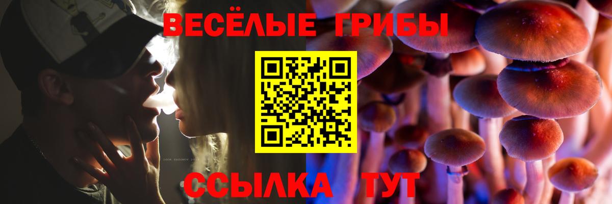Псилоцибиновые грибы ЛСД  Псилоцибиновые грибы ЛСД  Сорочинск  Вход с VPN 